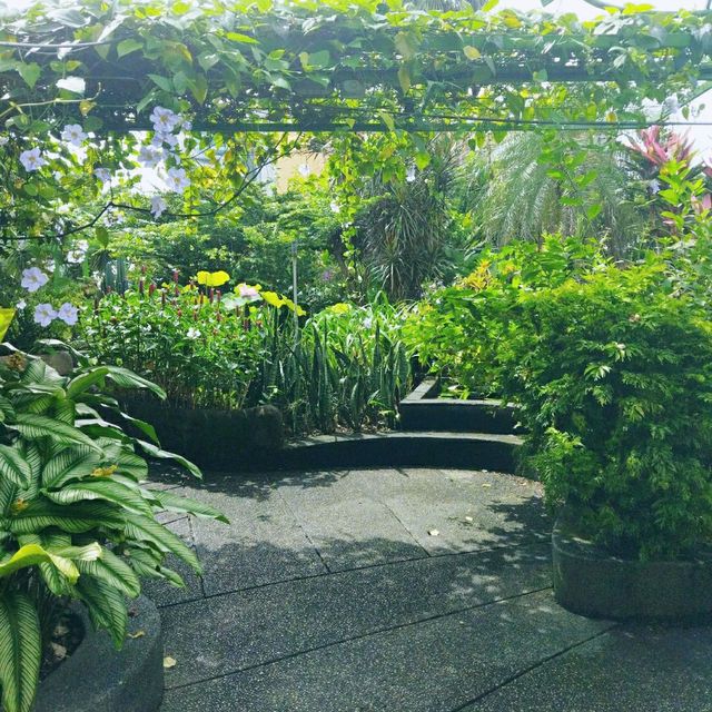 Secret Garden @ 1 Utama 🌵🌺