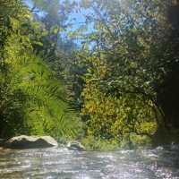 welcome to Rishikesh Enjoy your Holiday