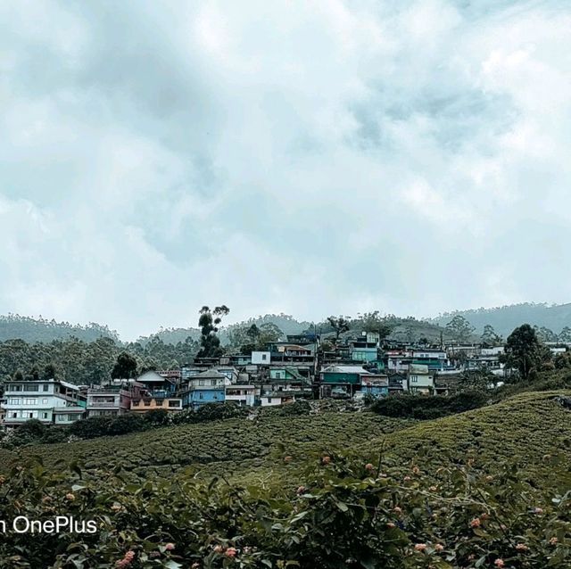 Trip to paradise land in South India -Kerala