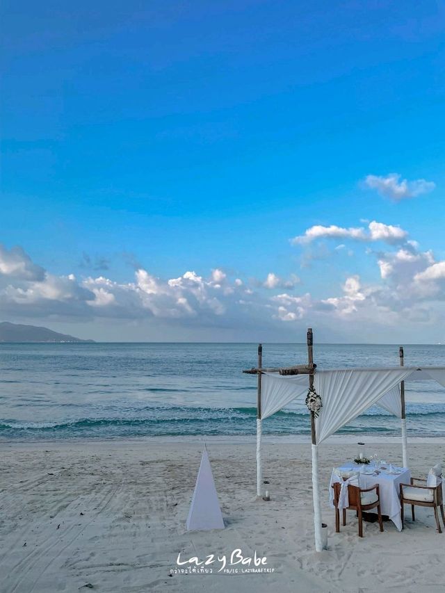 🌿𝑴𝑬𝑳𝑨𝑻𝑰 𝑩𝑬𝑨𝑪𝑯 𝑹𝑬𝑺𝑶𝑹𝑻 & 𝑺𝑷𝑨 