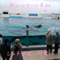 千葉県！海の生物に癒やされるホテル～鴨川シーワールドホテル～