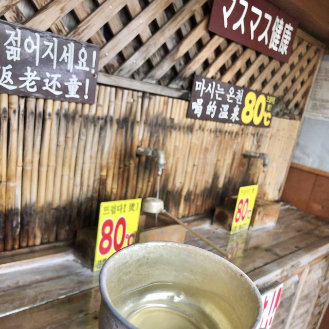 후쿠오카 벳부 온천여행 가마도지옥🔥