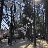 Romantic New Year at Nami Island