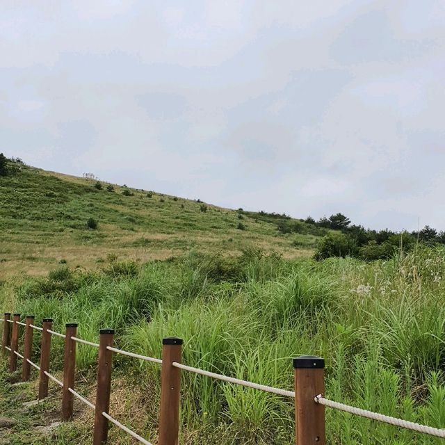 쉬운 난이도의 예쁜 오름