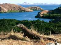 Komodo National Park