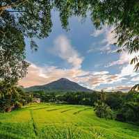 FLORES ISLAND