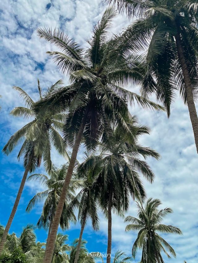 - Overlap Stone - #สมุย #สุราษฎร์ธานี 🇹🇭 🪨🌴