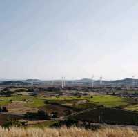 말똥많은, 하지만 확트인 전망이 좋은 제주 용눈이오름