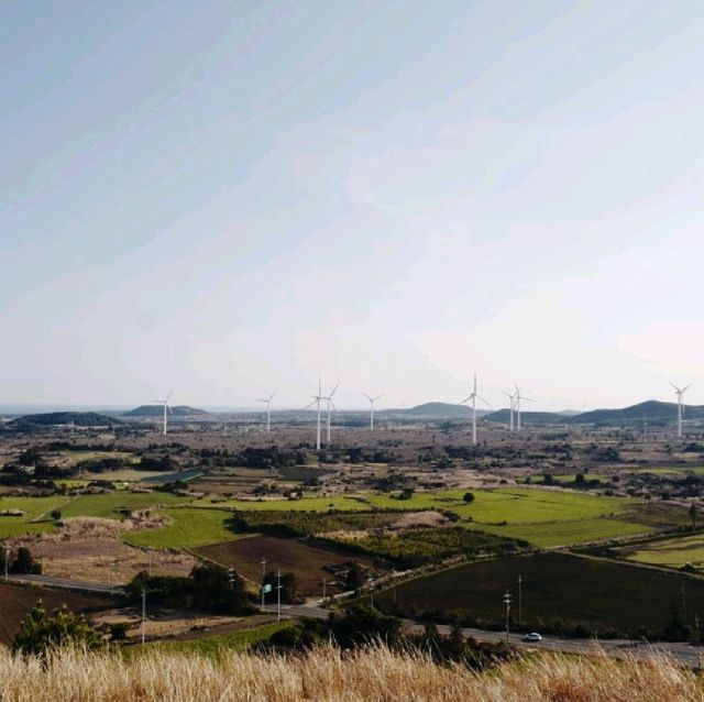 말똥많은, 하지만 확트인 전망이 좋은 제주 용눈이오름