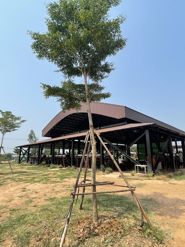 พิพิธภัณฑ์ช้างที่ใหญ่ที่สุดในไทย