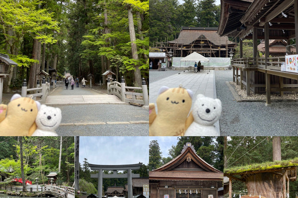 クマ散歩:小國神社に品行方正なクマ出没 | Trip.com 森町 クマ散歩:小國神社に品行方正なクマ出没 | Trip.com 森町