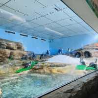 X Park 水族管 