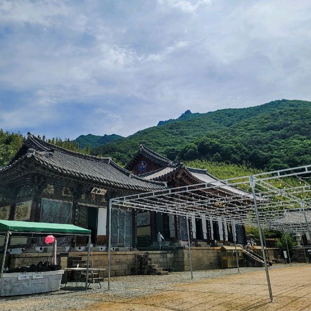 밀양여행 표충사