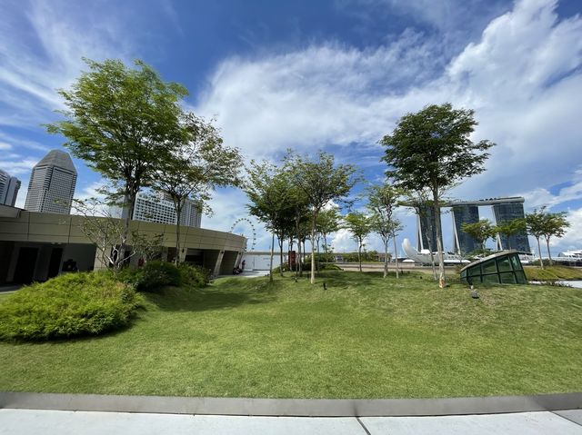 Rooftop gardens