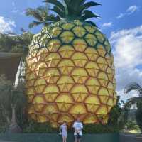 big Pineapple Nambour