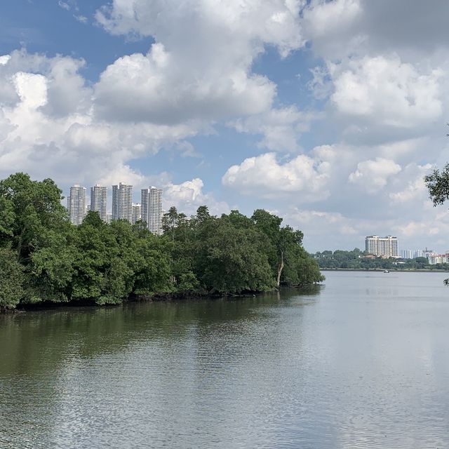 Chance to spot crocodiles in the wild