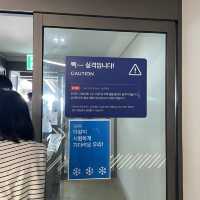 [제주] 레이서 본능을 깨울 수 있는 "9.81 파크 제주"