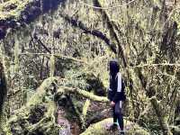 Mountain Province