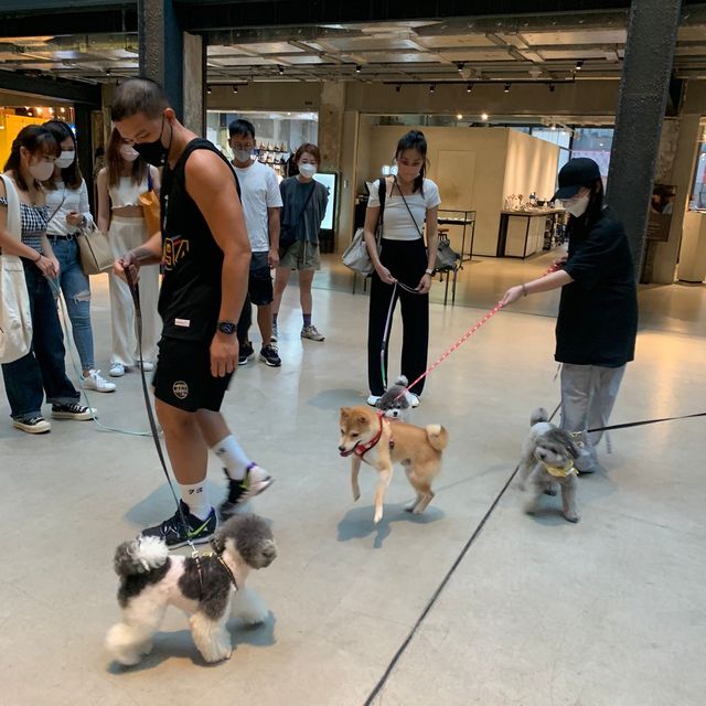 Pet Friendly南豐紗廠