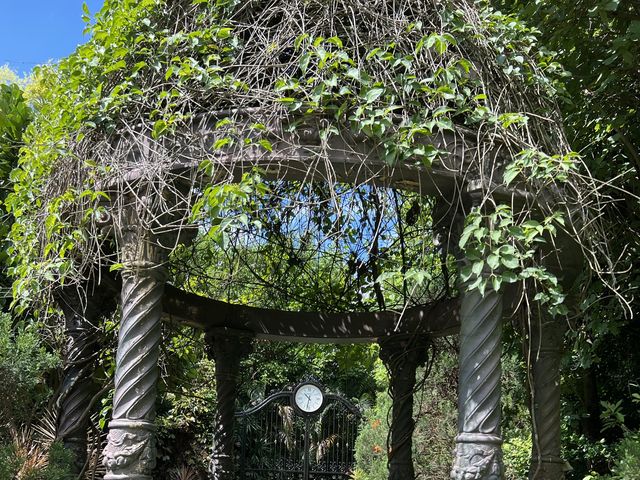 暢遊😎「馬灣公園」🌴🦎🐌🕷☘️