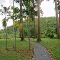 yang na camp