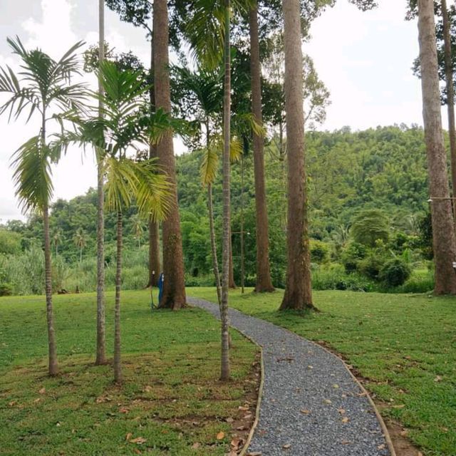 yang na camp