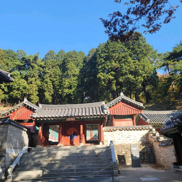 단풍여행 동학사