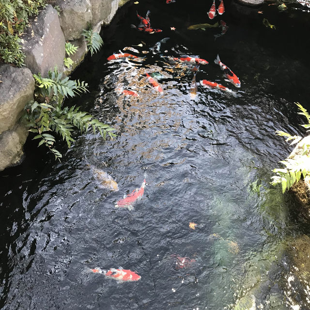 Tokyo ‘s Oldest Temple 