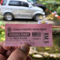 Rafflesia Hunting