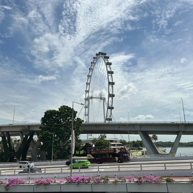 MBS landmarks