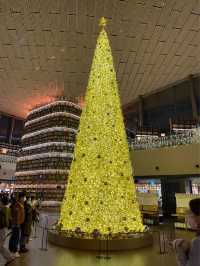서울 크리스마스 스팟 🎄코엑스 별마당도서관