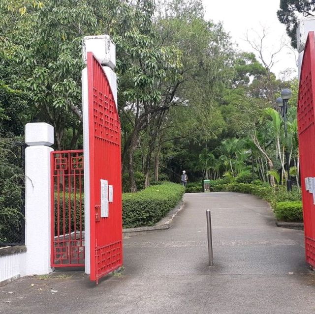 沙田中央公園