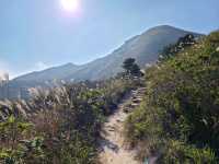 【秋冬賞芒系列~大東山🌾】
