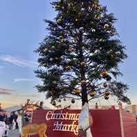 クリスマスマーケット🎄