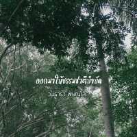 ออกมาให้ธรรมชาติบำบัด วนธารา พิษณุโลก