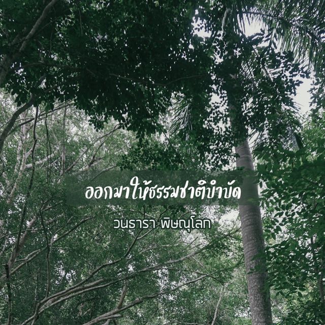 ออกมาให้ธรรมชาติบำบัด วนธารา พิษณุโลก