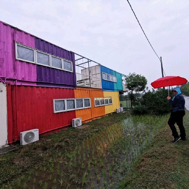 Padi Box, Sekinchan 