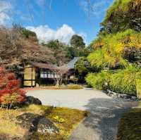 嵐山の紅葉を存分に楽しめた！