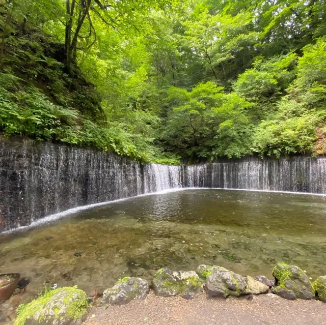 【長野】軽井沢に行ったら訪れたい癒しの滝