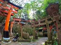 【京都観光】京都を代表する神社⛩