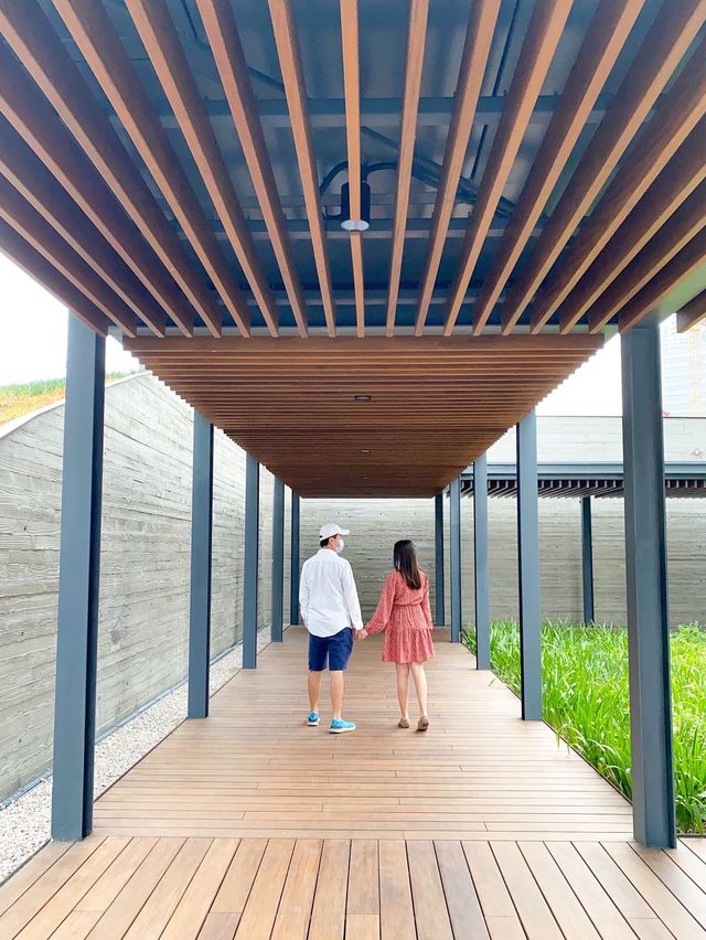 九龍區新公園🍃