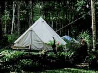 สายแคมป์ปิ้งต้องจัด 🌿☘️⛺️ "ภูทัพฟ้า แคมป์ปิ้ง2"