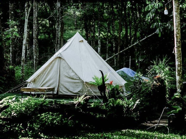 สายแคมป์ปิ้งต้องจัด 🌿☘️⛺️ "ภูทัพฟ้า แคมป์ปิ้ง2"