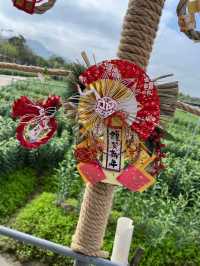 元朗信芯園重開，全新嘅日本🇯🇵主題打卡勝地