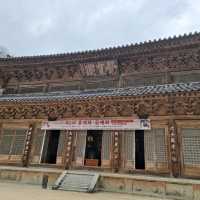 매화 명소 [구례 화엄사]
