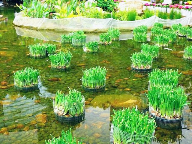 香港動植物公園
