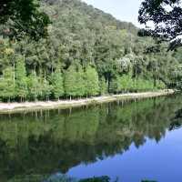 滿山翠綠流水響