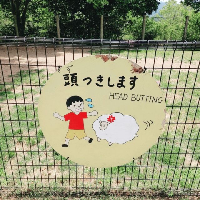 大型犬と山羊・ひつじにふれあえる！姫路セントラルパーク