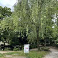 子鉄に最高広くてゆっくりできる梅小路公園