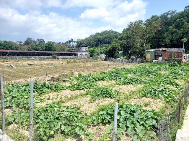 新田信芯園農莊
